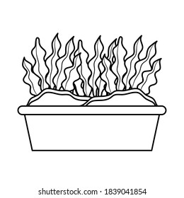 houseplant in square pot line style icon vector illustration design