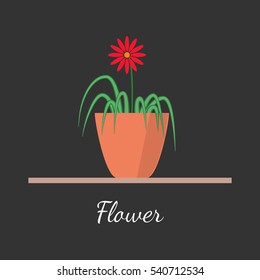 Houseplant standing on table vector icon. Illustration in flat design, isolated on modern stylish color background. Natural plant with green leaves.