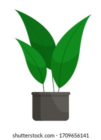 Houseplant stem with leaves in flowerpot. Natural green color decoration buds in pot symbol isolated on white. Gardening and floral object for interior of room. Tropical plant in cartoon style vector