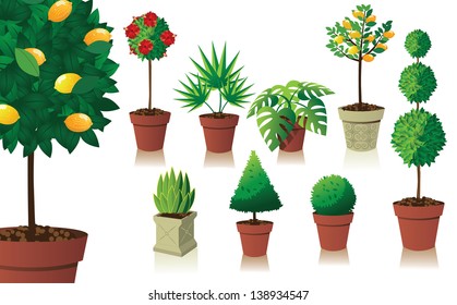 Houseplant And Topiary Collection. EPS 10 Vector, Grouped For Easy Editing. No Open Shapes Or Paths,