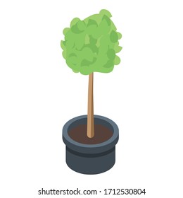 Houseplant tree icon. Isometric of houseplant tree vector icon for web design isolated on white background