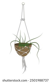 Houseplant urban jungle. Different green plant in pot. Home, office decoration. Vector illustration