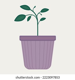Houseplant in vase simple, flat vector style