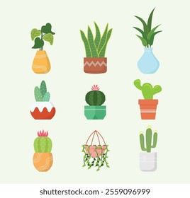 Houseplant Vector Collection Such as Succulents, Cactus, Caladium, Sansevieria, Heart Leaf Philodendron, etc