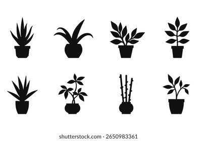 Houseplant Vector Graphics in Black Silhouette Style for Home Use, Potted Plant Silhouettes with Distinctive Leaves and Pot Designs