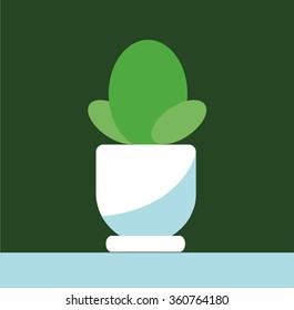 Houseplant vector icon