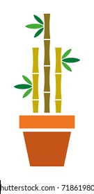 Houseplant vector icon