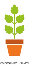 Houseplant vector icon