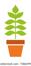 Houseplant vector icon