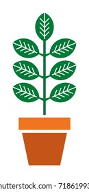 Houseplant vector icon