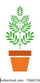 Houseplant vector icon
