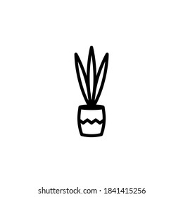 Houseplant vector icon. Mother-in-law's tongue in a flowerpot isolated on white background. Minimalist line art.