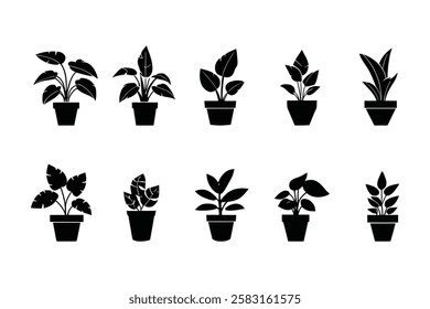 Houseplant Vector Icons – Modern Potted Greenery Designs