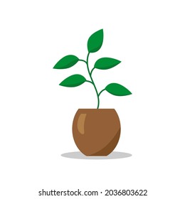 Houseplant. Vector illustration in flat style, isolated on a white background.