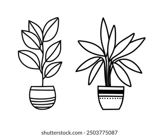 Ilustraciones vectoriales de plantas domésticas en estilo doodle. Plantas en macetas aisladas sobre un fondo blanco