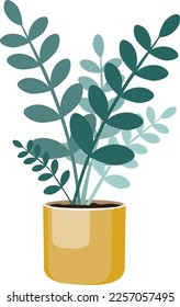 Houseplant zamiokulkas in a pot
