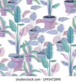 Houseplants background. Monstera, banana, fern. House plants seamless pattern. Trendy home decor with plants vector illustration. Flowers in pot, house interior design.