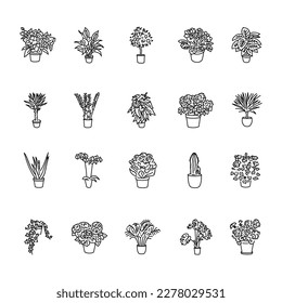 Los iconos de la línea negra de las plantas de hogar están configurados. Pictogramas para página web, aplicación móvil, promoción. 