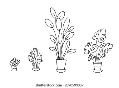 Houseplants. Black and white vector illustration.