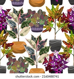 Houseplants. Botanical vector illustration pattern, background.Variegated plants, multi colored leaves. Codiaeum, Ficus tricolor, Fittonia, Oxalis