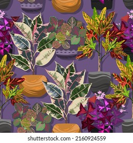 Houseplants. Botanical vector illustration pattern, purple background.Variegated plants, multi colored leaves. Codiaeum, Ficus tricolor, Fittonia, Oxalis