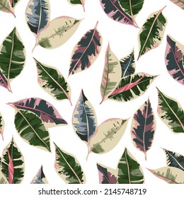 Houseplants. Botanical vector illustration.Variegated plants, multicolored leaves. Ficus tricolor, Seamless pattern. Light  background, wallpaper