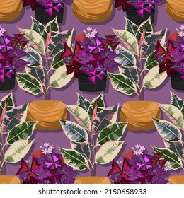 Houseplants. Botanical vector illustration.Variegated plants, multicolored leaves. Ficus tricolor, oxalis. Seamless Pattern. Purple  background, wallpaper.