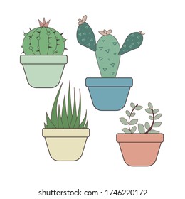 
Houseplants. Cacti in the pots.