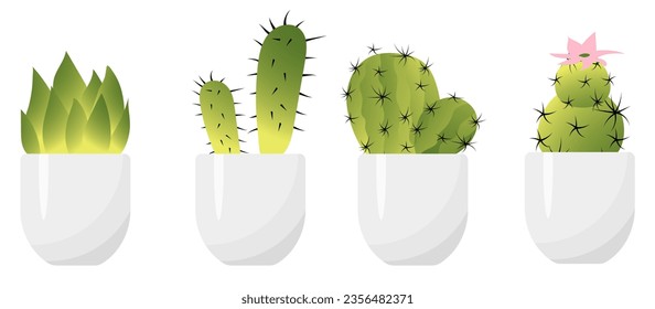 Houseplants. Cacti in white pots. Plant for home and interior. Homemade succulents in a flower pot.