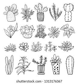 Houseplants, cactuses and succulents set. Vector hand drawn outline black and white sketch illustration isolated on white background