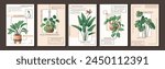 Houseplants care infographic. Vector illustration of monstera, strelitzia, pothos, aglaonema, pilea. Design of houseplant poster. Flower shop, home garden concept.	