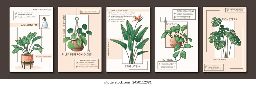 Infografía de cuidado de las plantas domésticas. Ilustración vectorial de monstera, strelitzia, pothos, aglaonema, pilea. Diseño de póster de planta de hogar. Tienda de flores, concepto de jardín casero.	