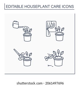 Houseplants care line icons set. Remove dying leaves, lighting houseplant, watering houseplant, dust from plants. Gardening concept.Isolated vector illustrations.Editable stroke