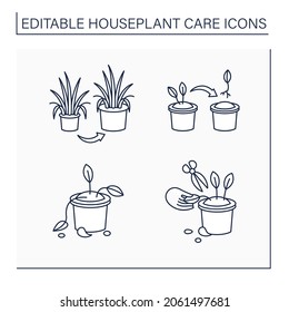 Houseplants care line icons set.Tropical plant interior decor. Propagate, repot, pinch back plants, deadhead. Gardening concept.Isolated vector illustration.Editable stroke