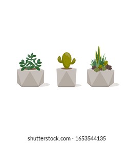 Houseplants. Collection of different succulent plants in  pots. Gardening concept. Vector illustration