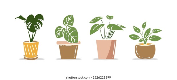 Colección de plantas domésticas. Plantas de interior que crecen en macetas. Follaje de hoja verde, decoración natural del hogar y de la oficina.