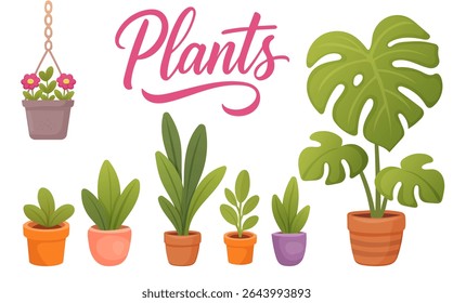 Houseplants collection with monstera hanging pot and potted succulents cartoon style