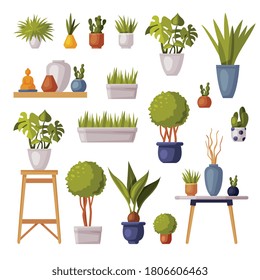 Houseplants Collection, Potted Plants and Vases for Office, Room Decoration Cartoon Style Vector Illustration on White Background