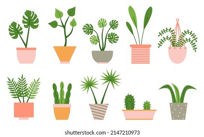 Houseplants in colorful pastel flower pots set. Urban jungle decor. For interior, botany, house decoration, web and app design. Cactus, sansevieria, monstera, fern, hanging flower. Vector illustration