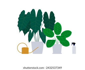 Houseplants composition - Alocasia, calathea, watering can, spray bottle. Lush foliage in flower pots for office and home decor. Minimalist vector illustration on white background