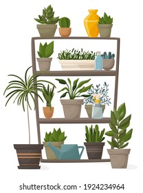 
Houseplants and decorative potted flowers on the shelves. Garden flower pot and green home interior. Vector illustration