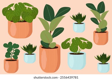 Houseplants design elements. Set of plants for home and decor in pots. Flat vector illustrations.