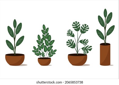 Houseplants in different designed flowerpots, decor in the style of the urban jungle.  Set. Flat style. Vector. Isolated on white background.