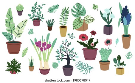 Houseplants elements collection. Home decorative plants isolated set. Different potted flowers in cartoon design.
