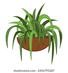 Houseplants exotic container icon cartoon vector. Window vegetation. Potted can