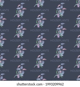 Houseplants. Fern, monstera. Vector background. Floral pattern. Seamless pattern with the image of room flowers in pots on a dark background with an inscription. Design for textiles, gift wrapping.