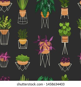 Houseplants flat seamless pattern. Potted succulent and cactus natural background. Sansevieria leaves, decorative snake plant foliage texture. Botanic wrapping paper, wallpaper vector design