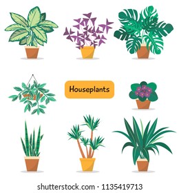 Houseplants - flat style illustration. Vector design.