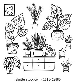 Houseplants in flowerpots hand drawn doodles. Urban jungle free drawing concept vector illustration. 