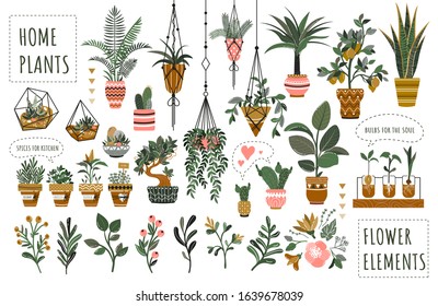 Houseplants flowerpots isolated icons vector illustration. Decorative home plants, botanical icons and stickers. Flower pots and kitchen herbs, hanging plants, floral decorations collection.